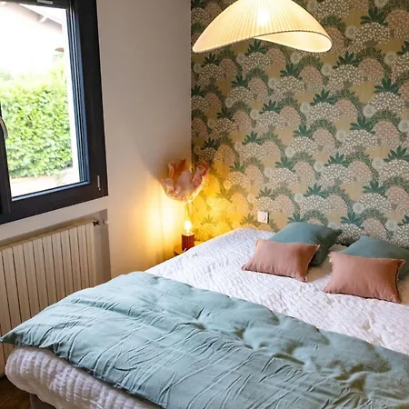 Villa La Des Mûriers - Jardin -