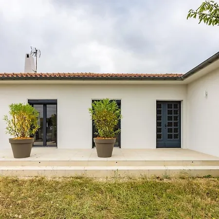 La Des Mûriers - Jardin - Villa Lavaur (Tarn)